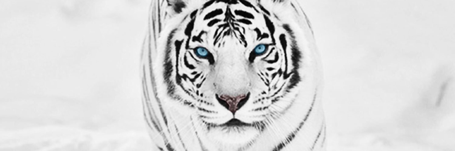 AndyEarle's profile banner image