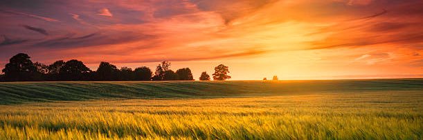 consue924's profile banner image
