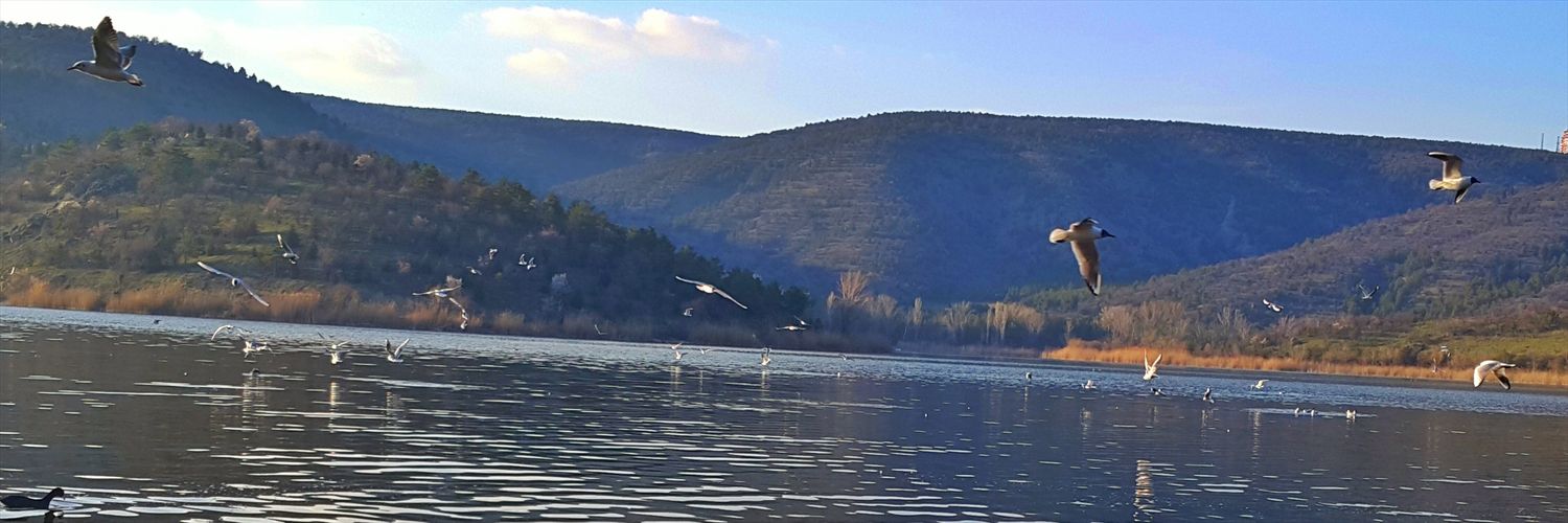 kale_zeynep's profile banner image