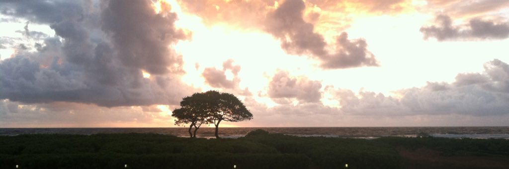 rickysmith714's profile banner image