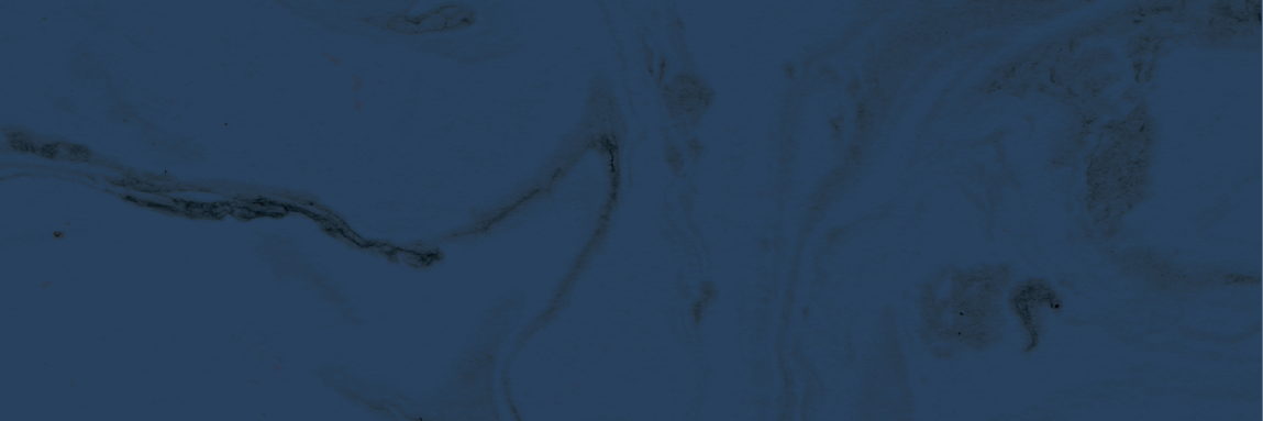 palmerpublic's profile banner image