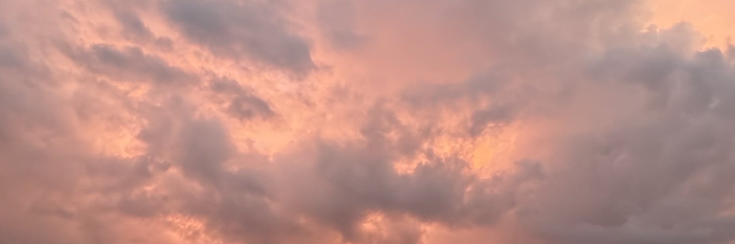 Dayavidalr's profile banner image