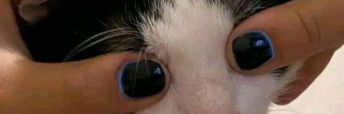 (ᎶAᗯA)(RRA) ПΣIƬΉΛП_GΛMIПG banner