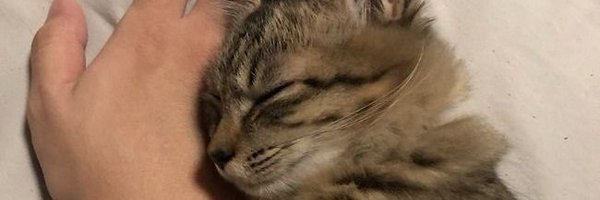 coolaidman_ Profile Banner