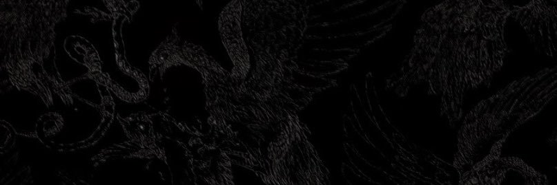 𝐫𝐞𝐠𝐮𝐥𝐮𝐬 𝐛. banner