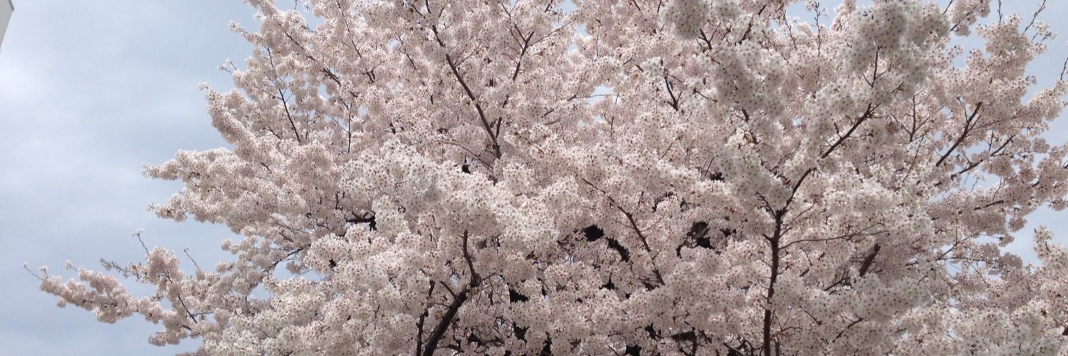ゆーすけ banner