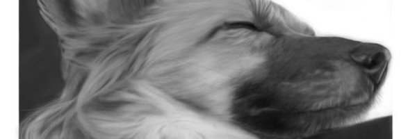 sharp2kn6 Profile Banner
