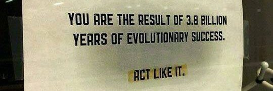 Simone Bonetti banner