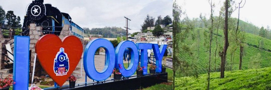 Collector & DM, The Nilgiris banner