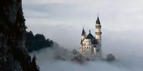 alavaz1111's profile banner image