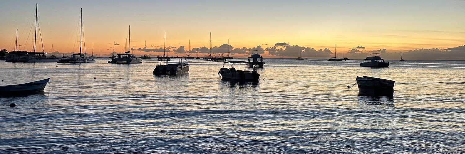 Max el de Tuiter banner