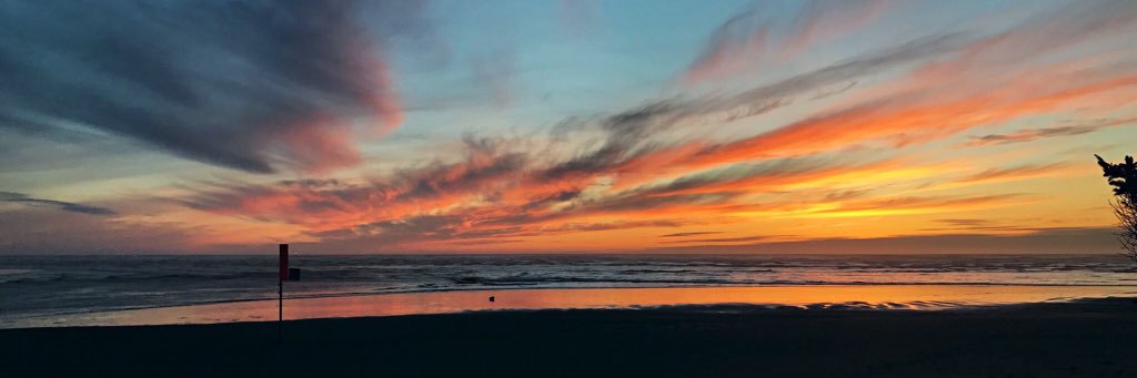 shaystrecker's profile banner image