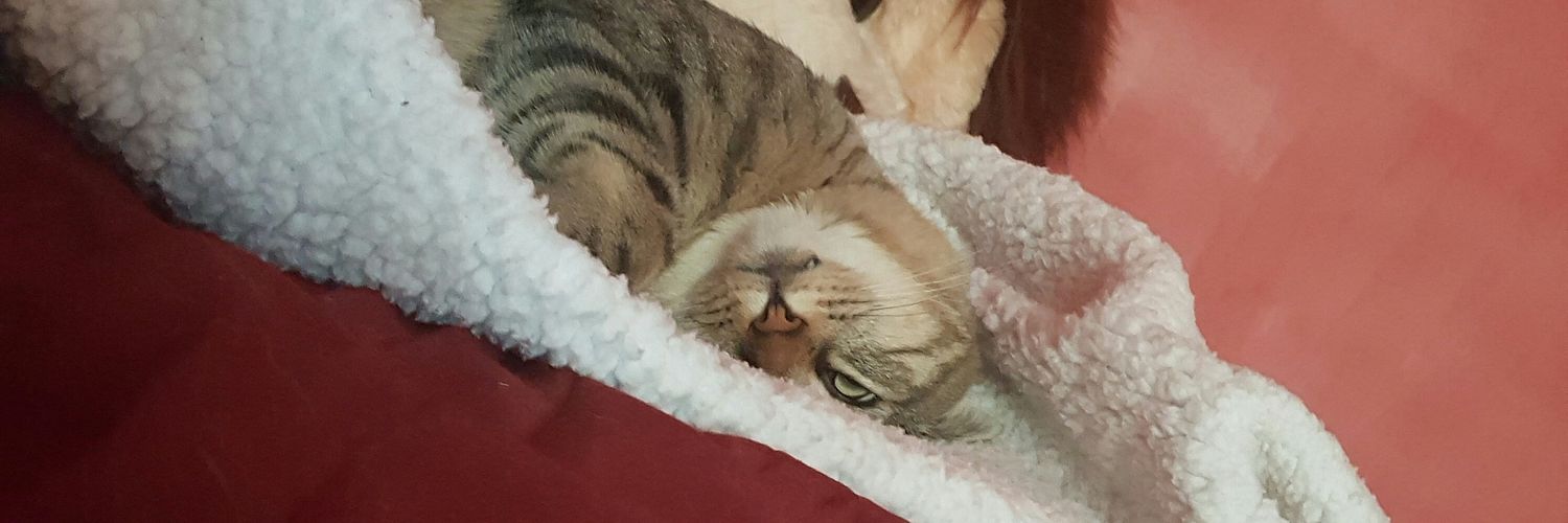 Brandon Ingersoll banner