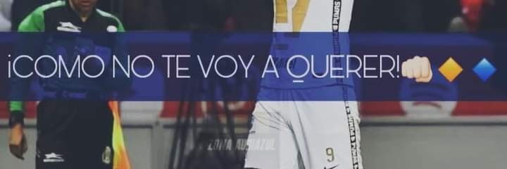 Ferssss.🐦 banner