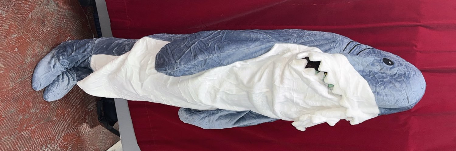 天野ひろこ／Brave Mental Orchestra banner