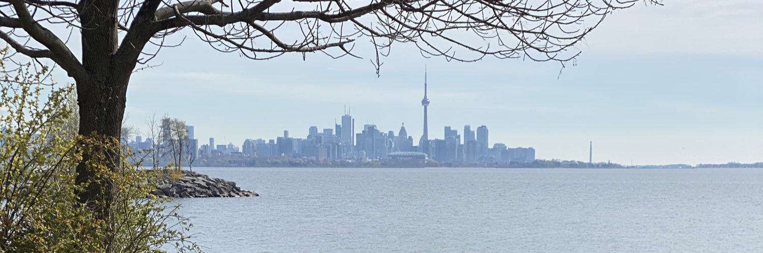 Matt Mulholland banner