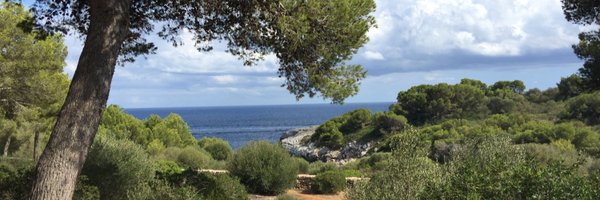 SCBriand Profile Banner