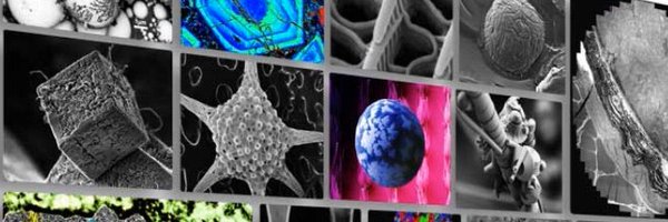 adivanefendic1 Profile Banner