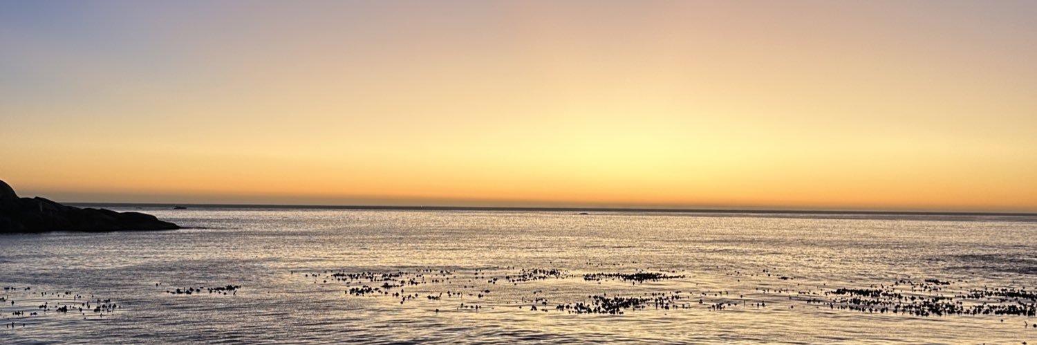 Marius Rackwitz banner