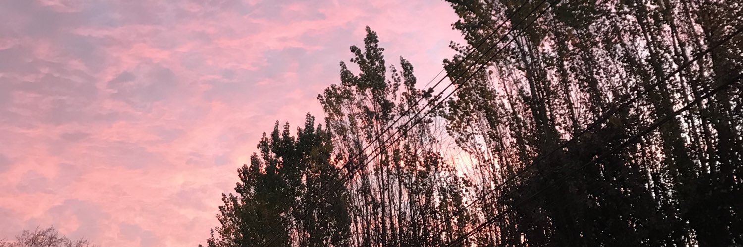 DianaAedo's profile banner image