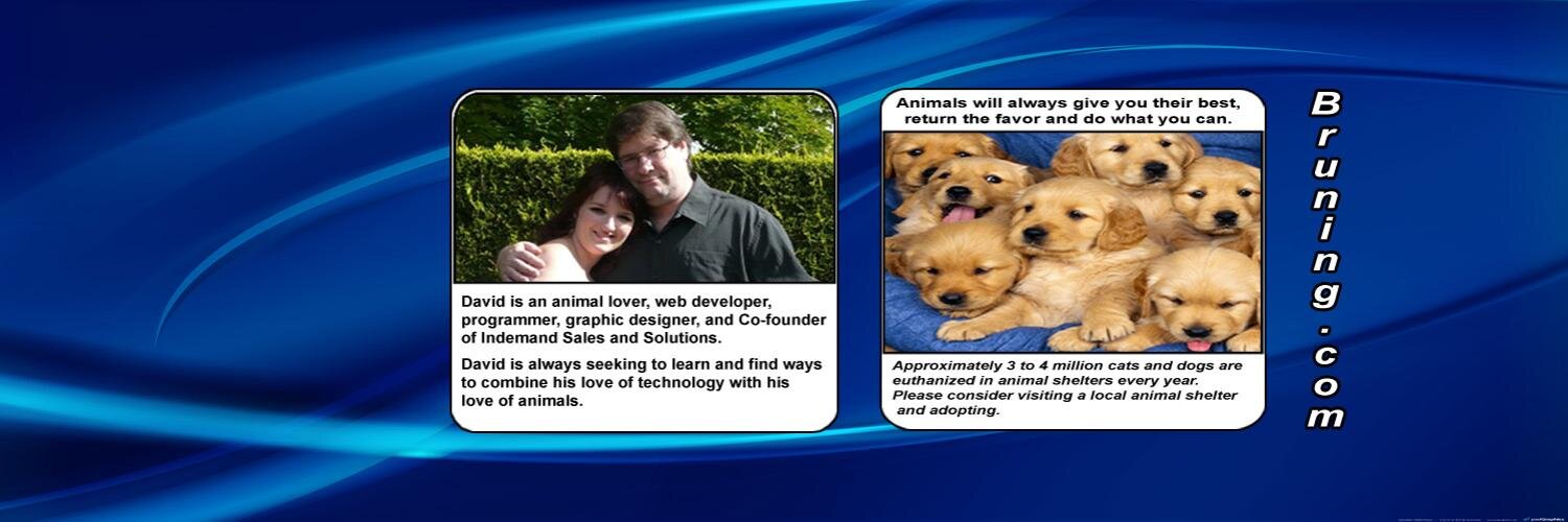 David Bruning banner
