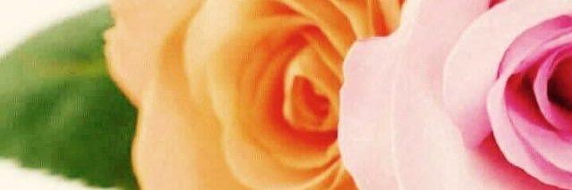 1400abab's profile banner image