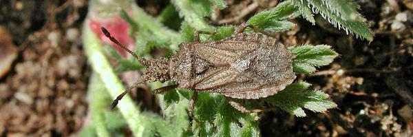 stuartjread Profile Banner