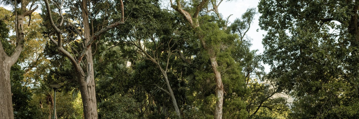 Joné Kros banner