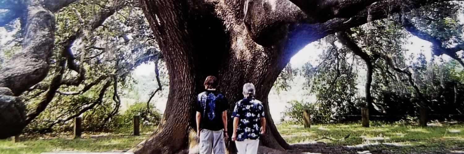 SelfingAround's profile banner image