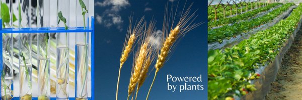 Plant_ETP Profile Banner
