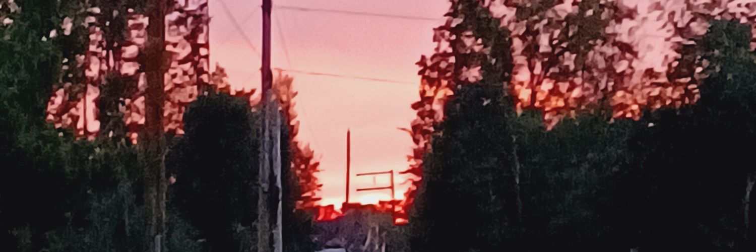 markmort65's profile banner image