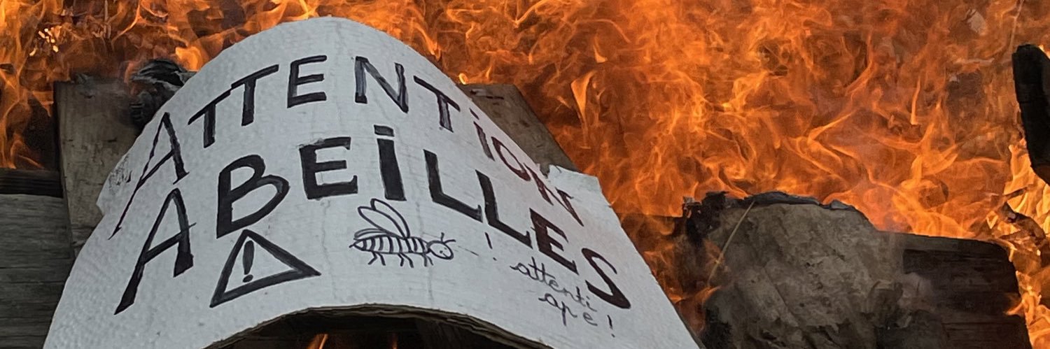 minimum 8 tonnes de miel banner