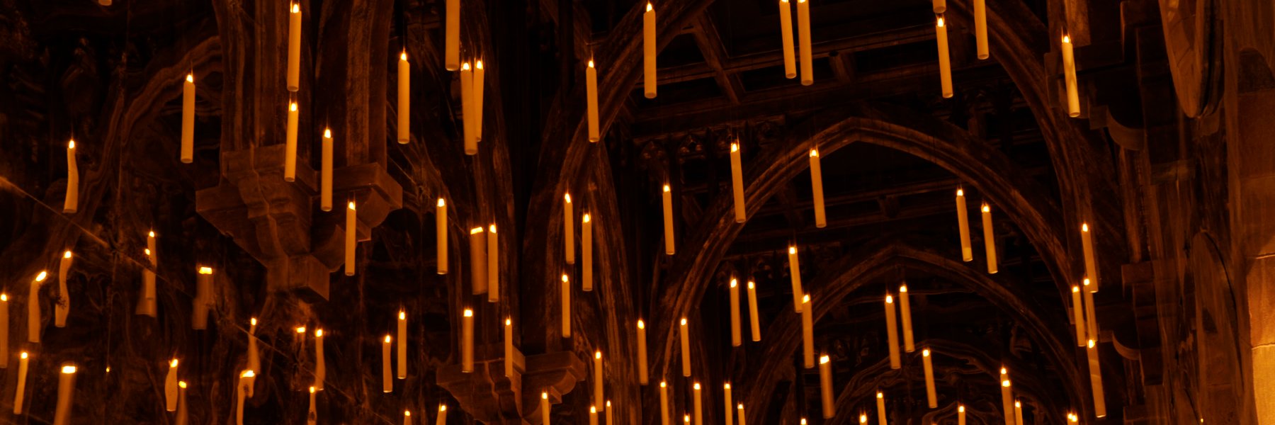 alper banner