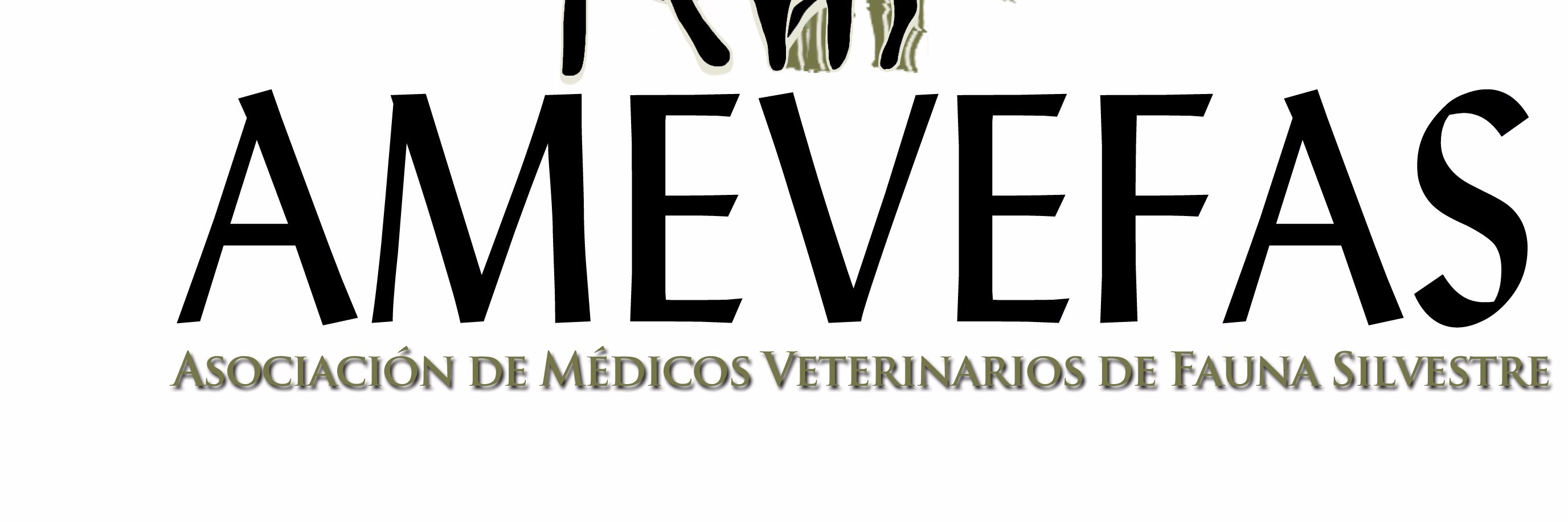 AMEVEFAS banner