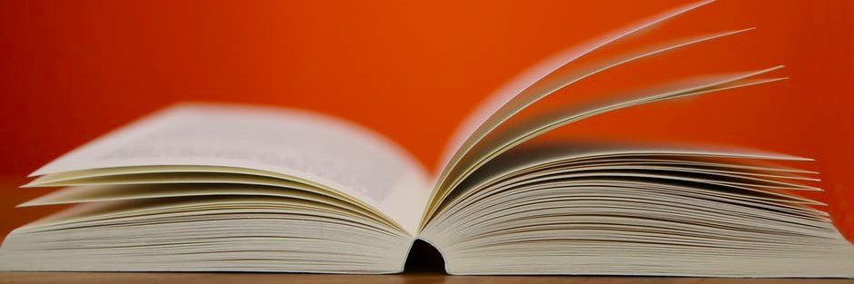 Librarian at Cardinal Elementary banner