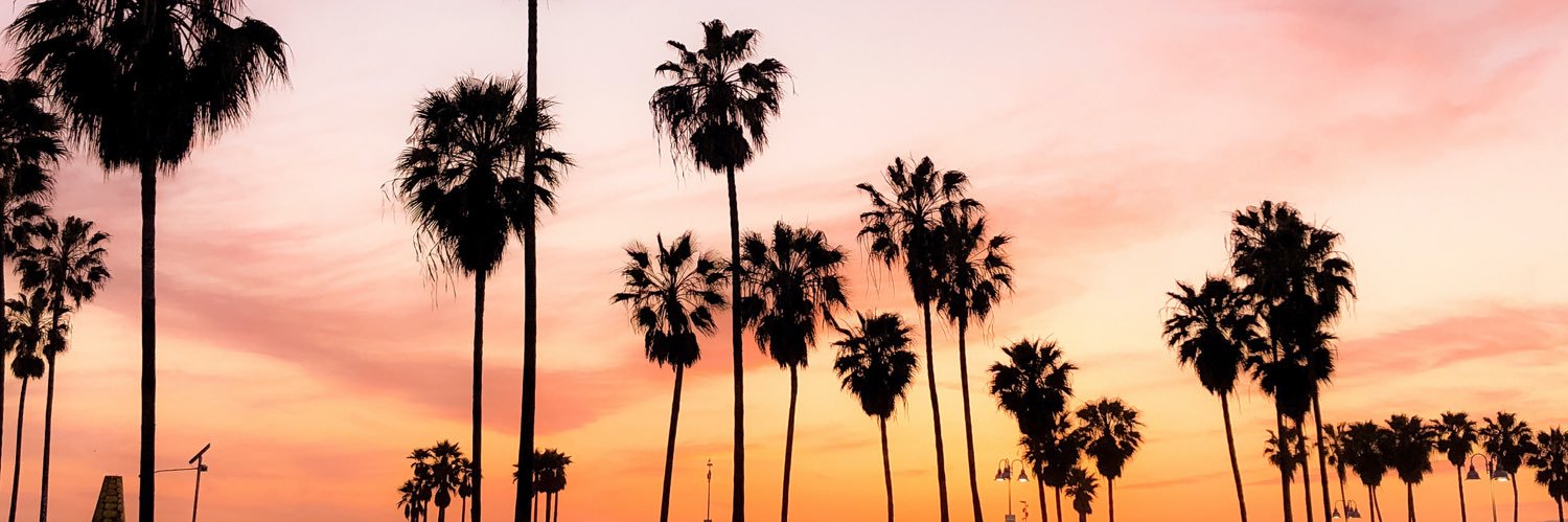 Aina ♛ banner