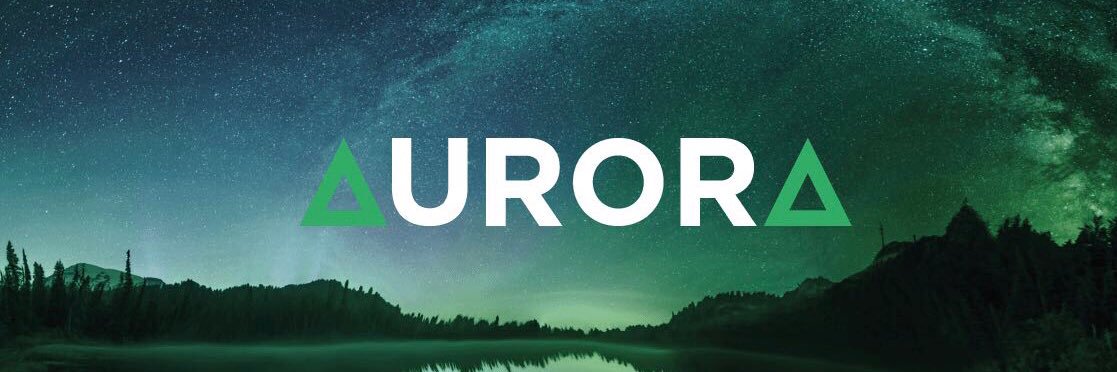 aurσra 🦋 banner