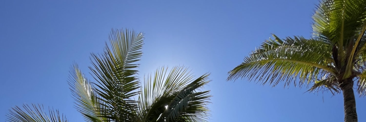 Mario Alberquilla banner