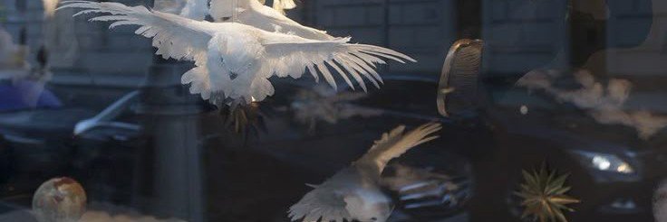 ִֶָ banner