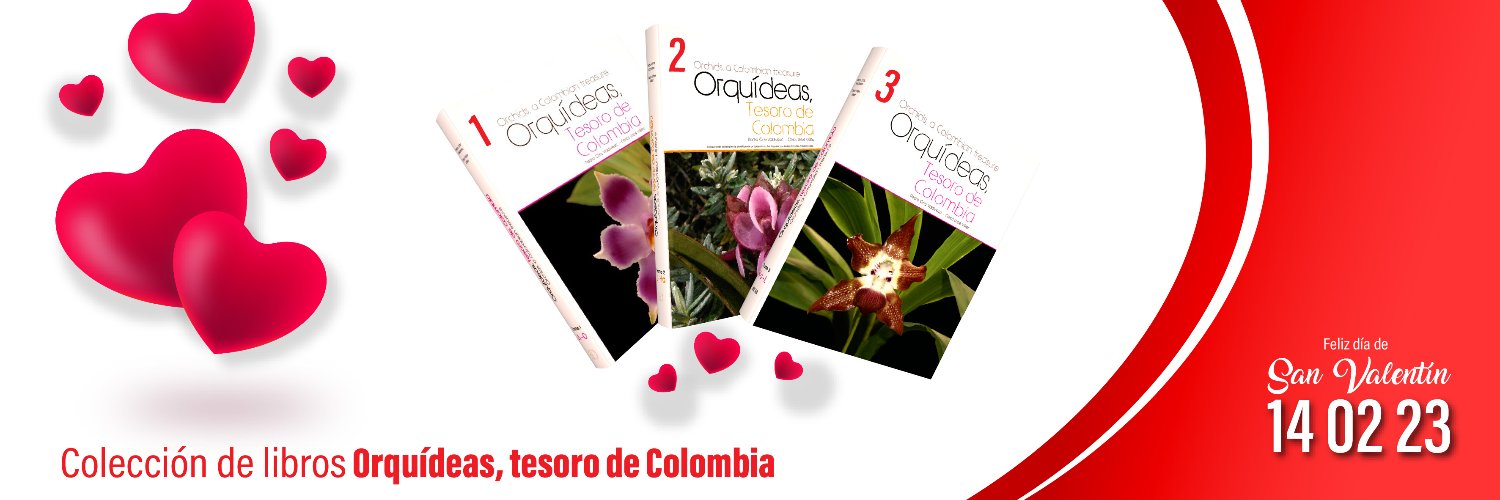OrquideasTc's profile banner image