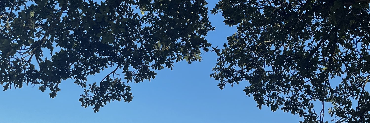 LexiBrownee's profile banner image