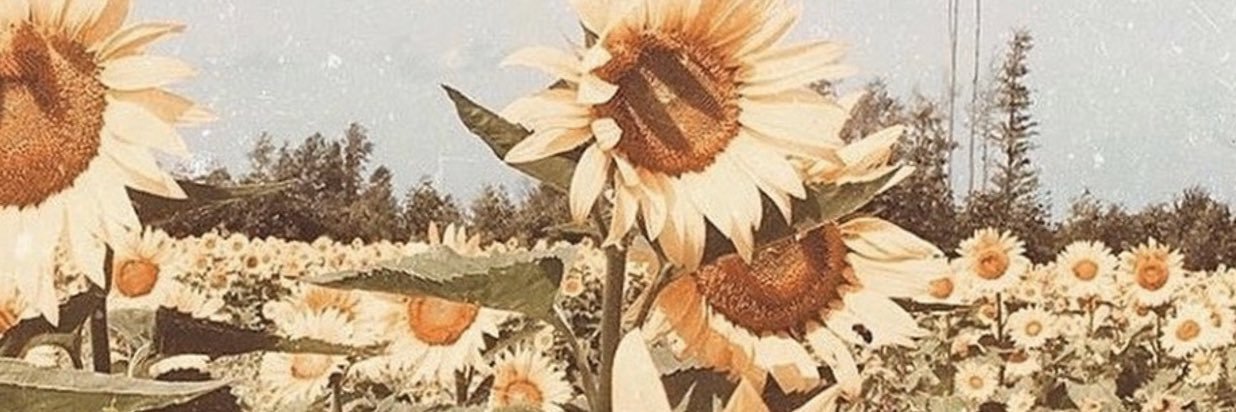 _liciamariee's profile banner image