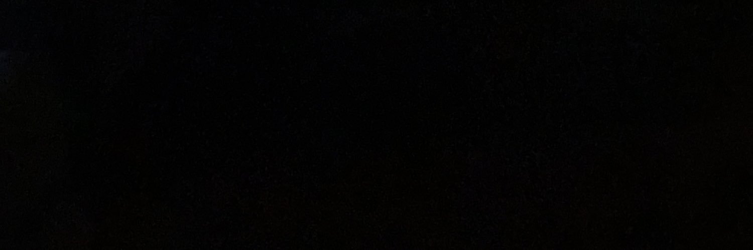 BirdTyus's profile banner image