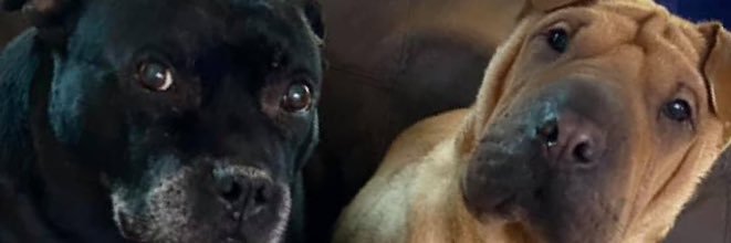 Walks82's profile banner image