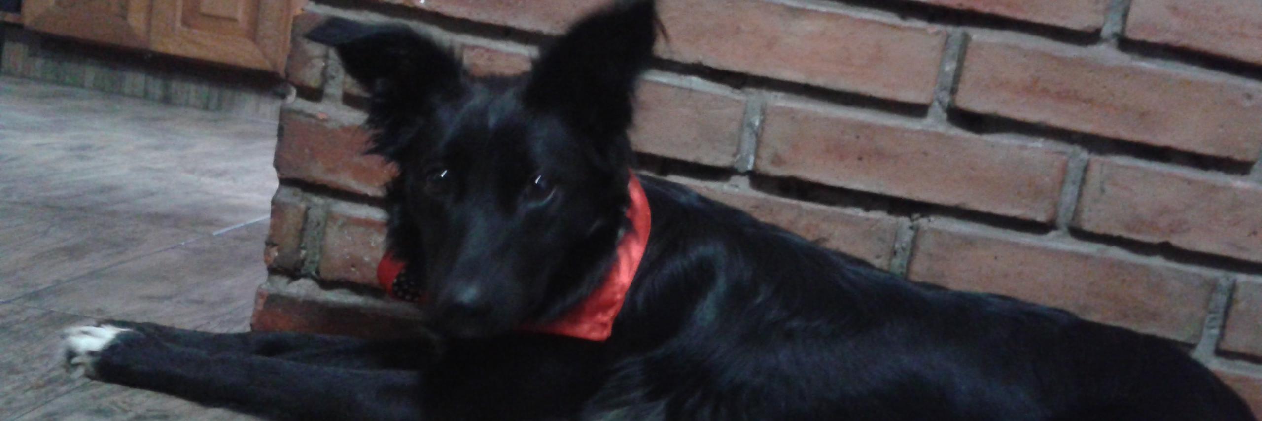 MBeluComas's profile banner image