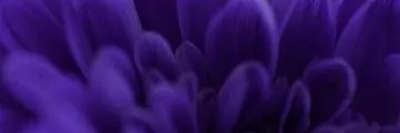 Acielee13's profile banner image