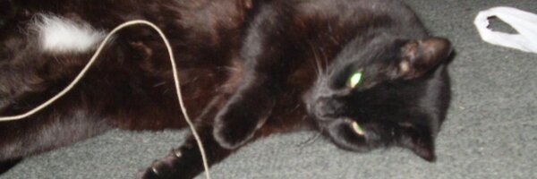 AlTheref Profile Banner