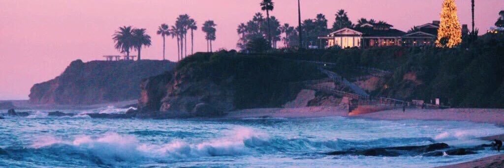 the real mrvoltronn banner