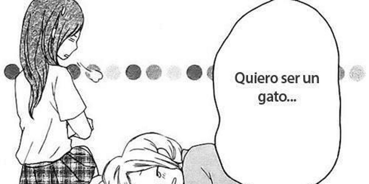 CatMeow92's profile banner image