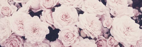FranklyRou's profile banner image